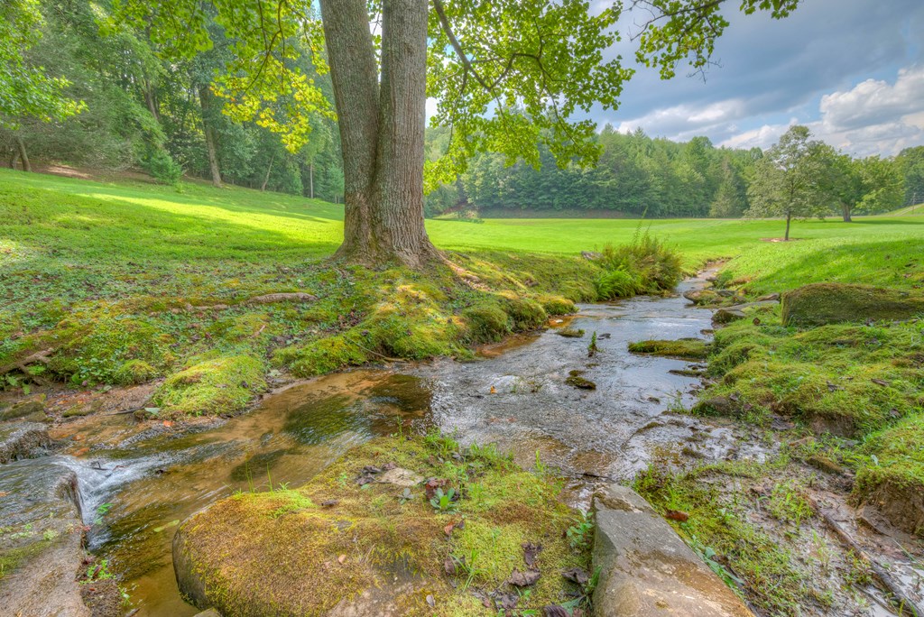 720 Oakgrove Road Murphy, NC 28906 - Photo 7 of 45