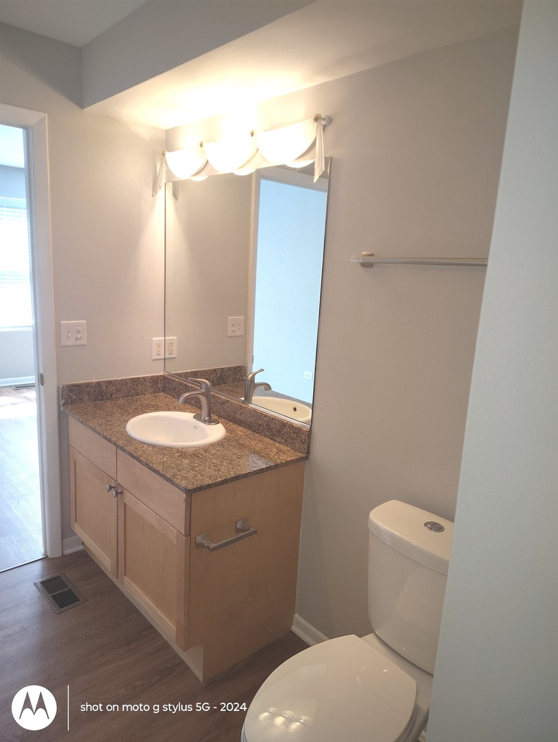2367 East 70th Place, Unit 1A Chicago, IL 60649 - Photo 13 of 30 a bathroom with a granite countertop sink toilet and mirror