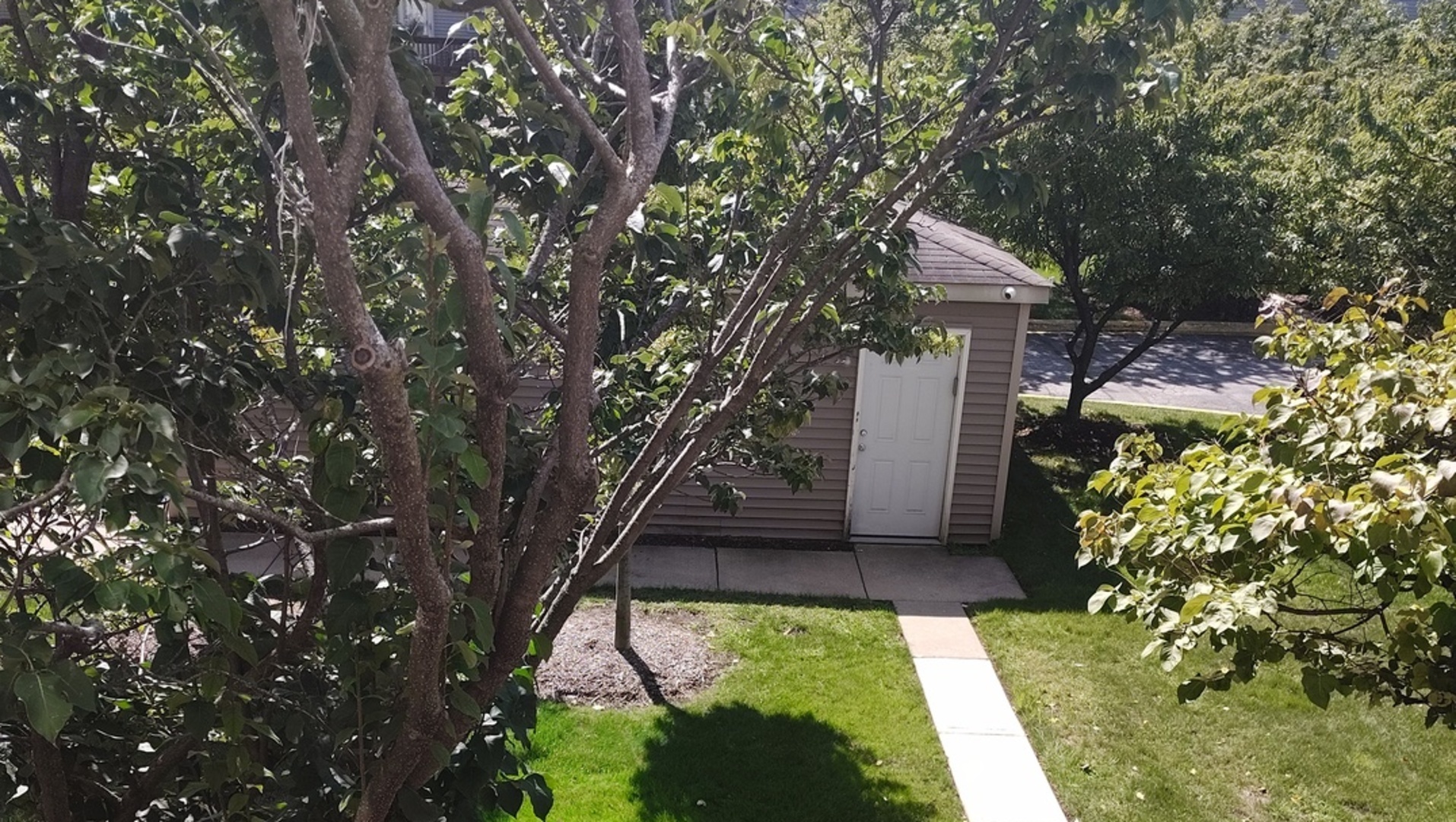 2367 East 70th Place, Unit 1A Chicago, IL 60649 - Photo 26 of 30 a house with a tree in front of it