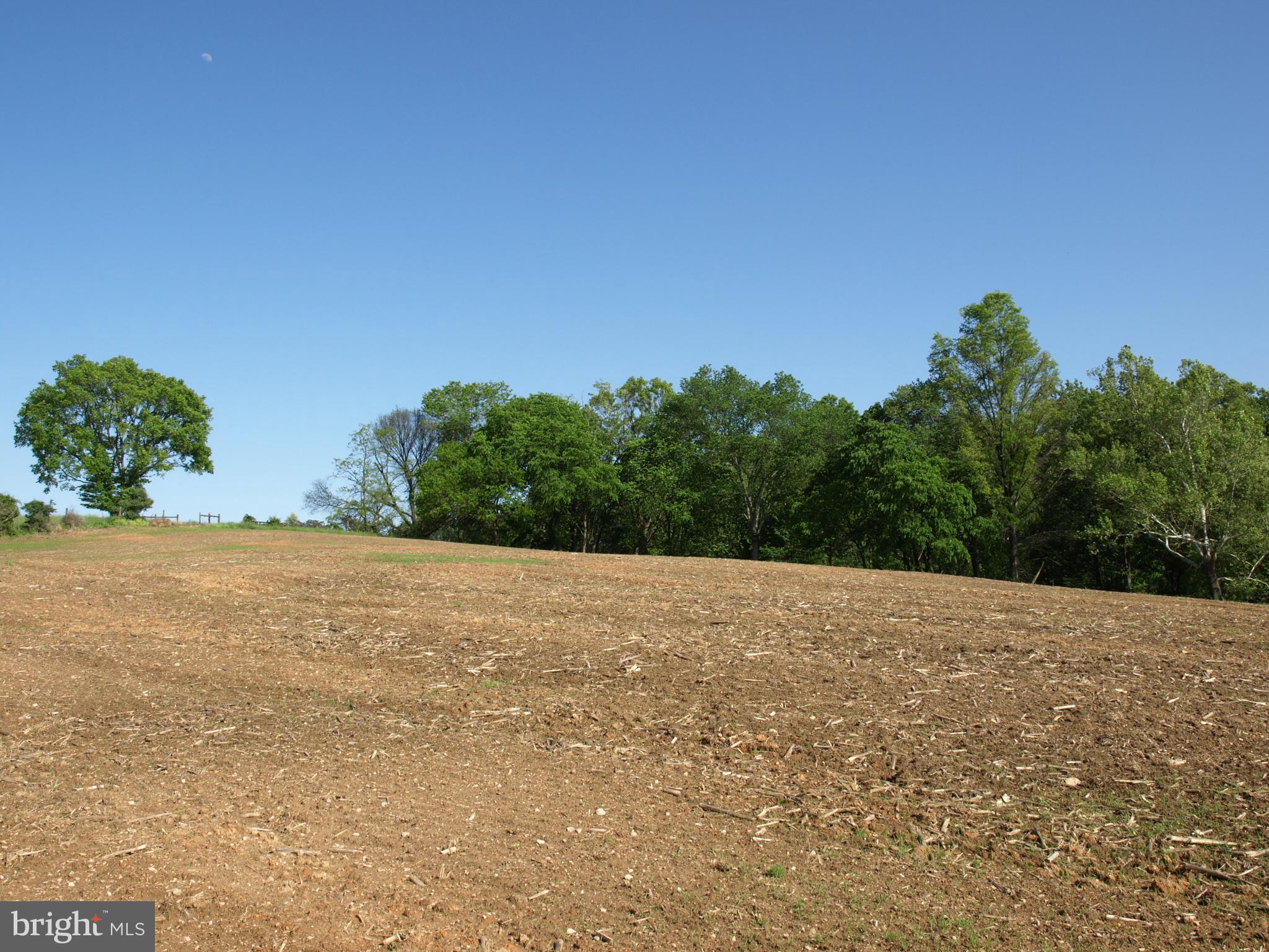 a view of a field with trees in background