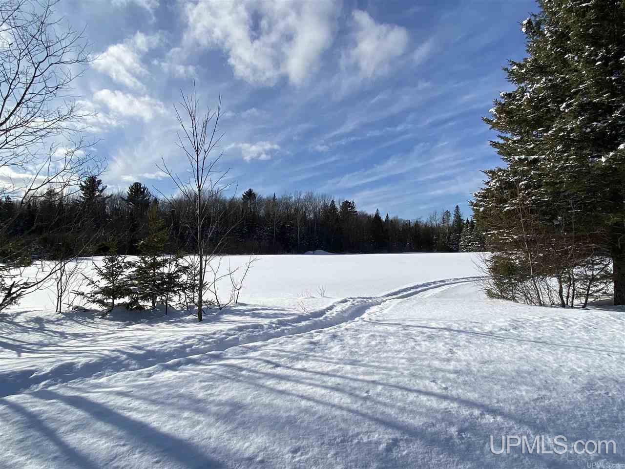 Tbd Halverson Road Skandia, MI 49885 - Photo 14 of 14