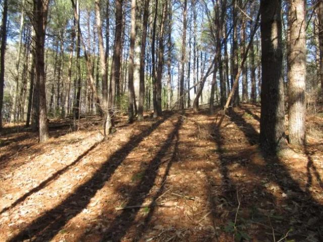 $29,000 | Lot 10 Sweet Shrub Court, Sunset, SC 29685