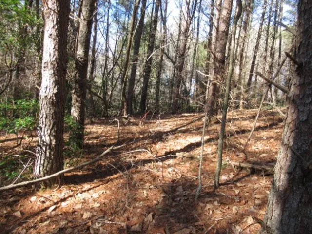 $29,000 | Lot 10 Sweet Shrub Court, Sunset, SC 29685