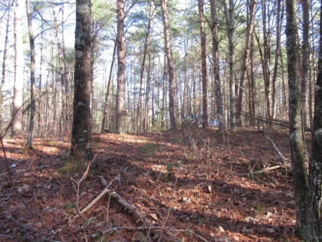 $29,000 | Lot 10 Sweet Shrub Court, Sunset, SC 29685