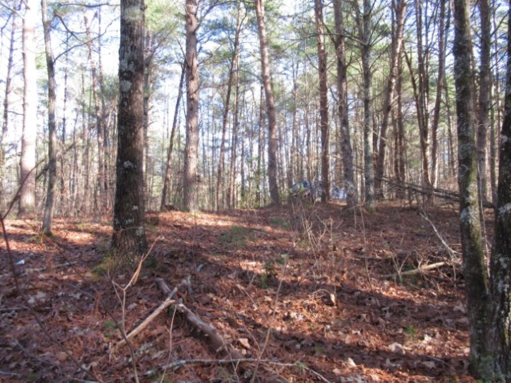 Lot 10 Sweet Shrub Court Sunset, SC 29685 - Photo 14 of 24