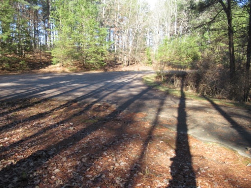Lot 10 Sweet Shrub Court Sunset, SC 29685 - Photo 15 of 24