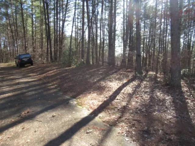 $29,000 | Lot 10 Sweet Shrub Court, Sunset, SC 29685