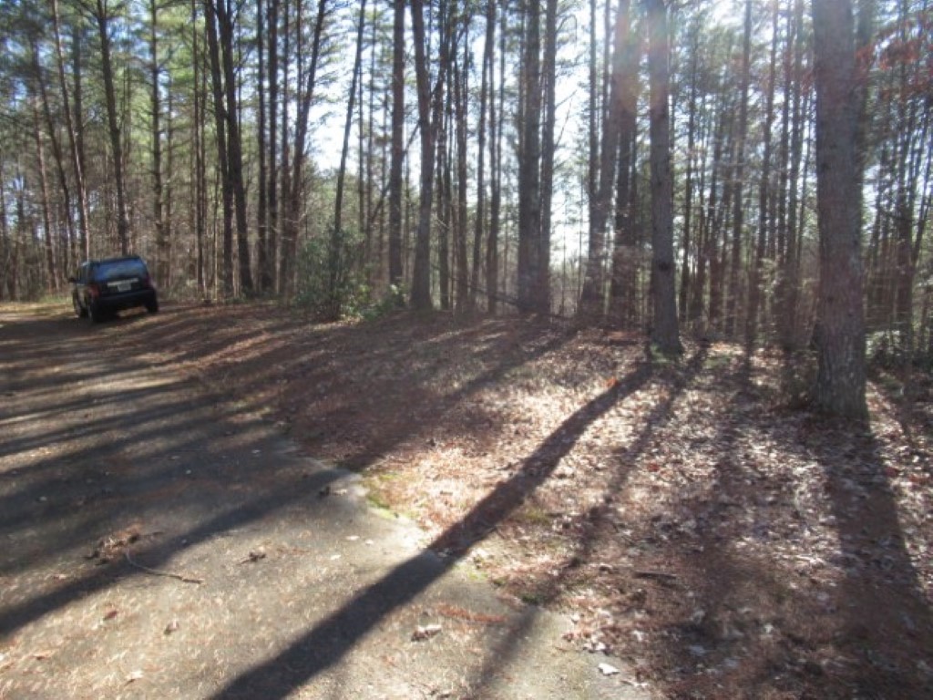 Lot 10 Sweet Shrub Court Sunset, SC 29685 - Photo 16 of 24