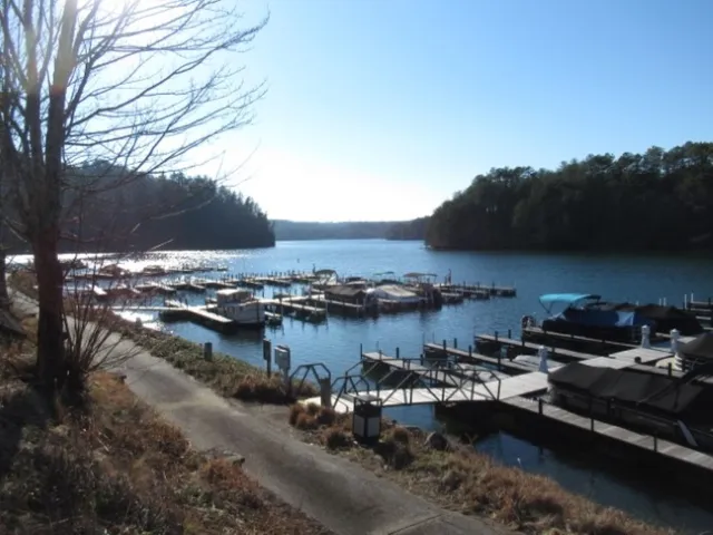 $29,000 | Lot 10 Sweet Shrub Court, Sunset, SC 29685