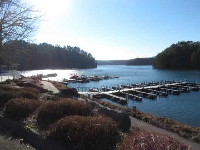 $29,000 | Lot 10 Sweet Shrub Court, Sunset, SC 29685