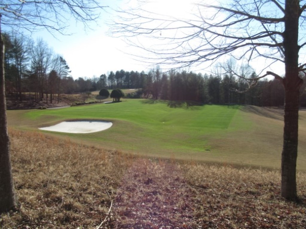 Lot 10 Sweet Shrub Court Sunset, SC 29685 - Photo 22 of 24