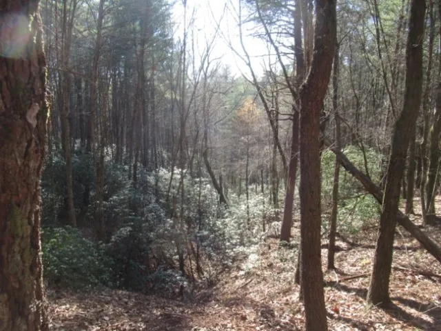 $29,000 | Lot 10 Sweet Shrub Court, Sunset, SC 29685