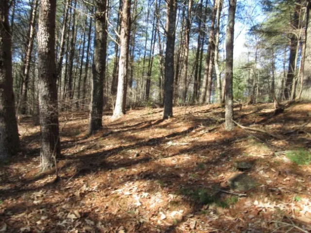 $29,000 | Lot 10 Sweet Shrub Court, Sunset, SC 29685