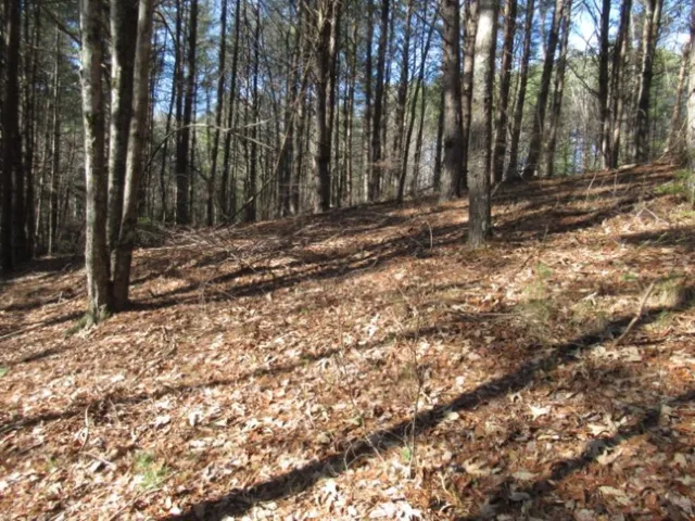 $29,000 | Lot 10 Sweet Shrub Court, Sunset, SC 29685