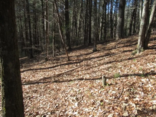 $29,000 | Lot 10 Sweet Shrub Court, Sunset, SC 29685