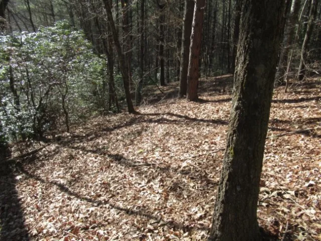 $29,000 | Lot 10 Sweet Shrub Court, Sunset, SC 29685