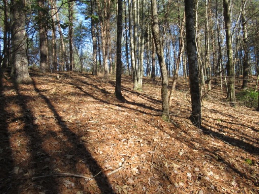 Lot 10 Sweet Shrub Court Sunset, SC 29685 - Photo 9 of 24