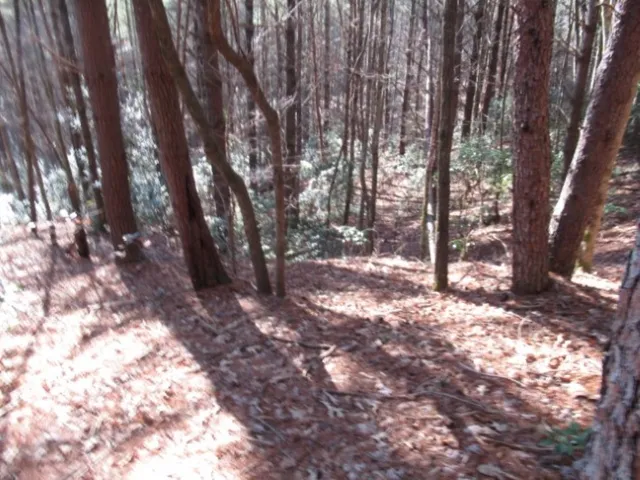 $29,000 | Lot 10 Sweet Shrub Court, Sunset, SC 29685