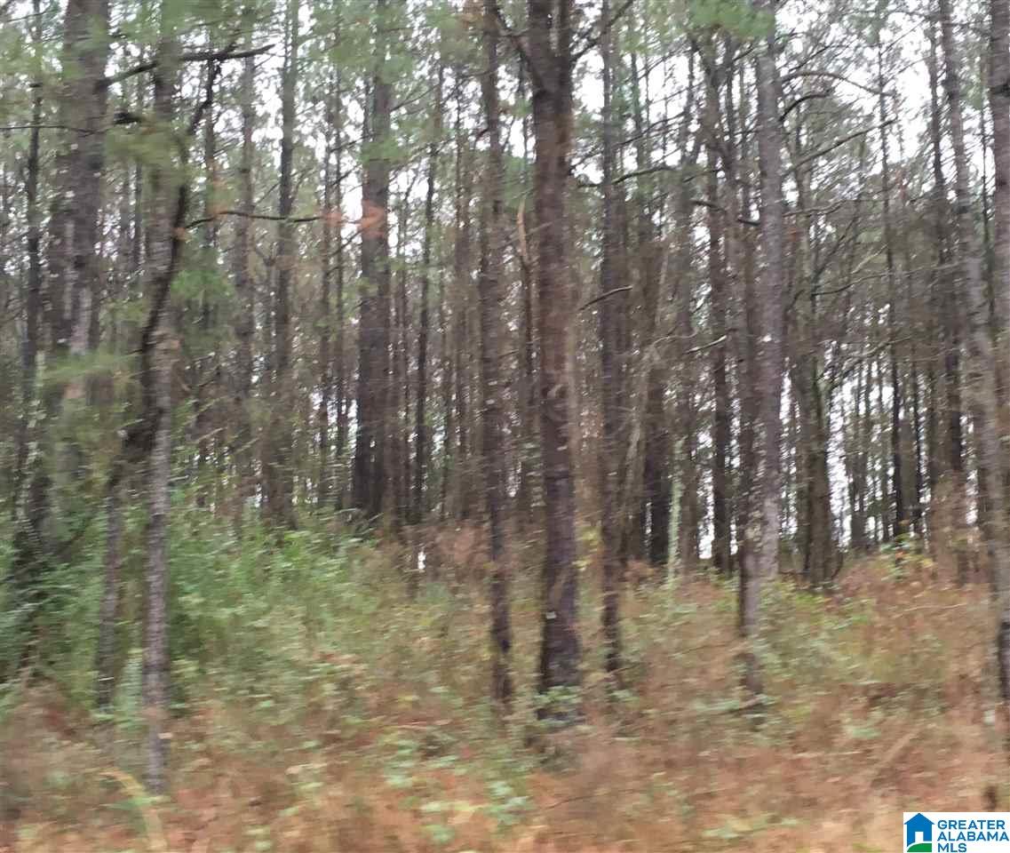 1245 Eureka Road, Unit 2 Lincoln, AL 35096 - Photo 31 of 32