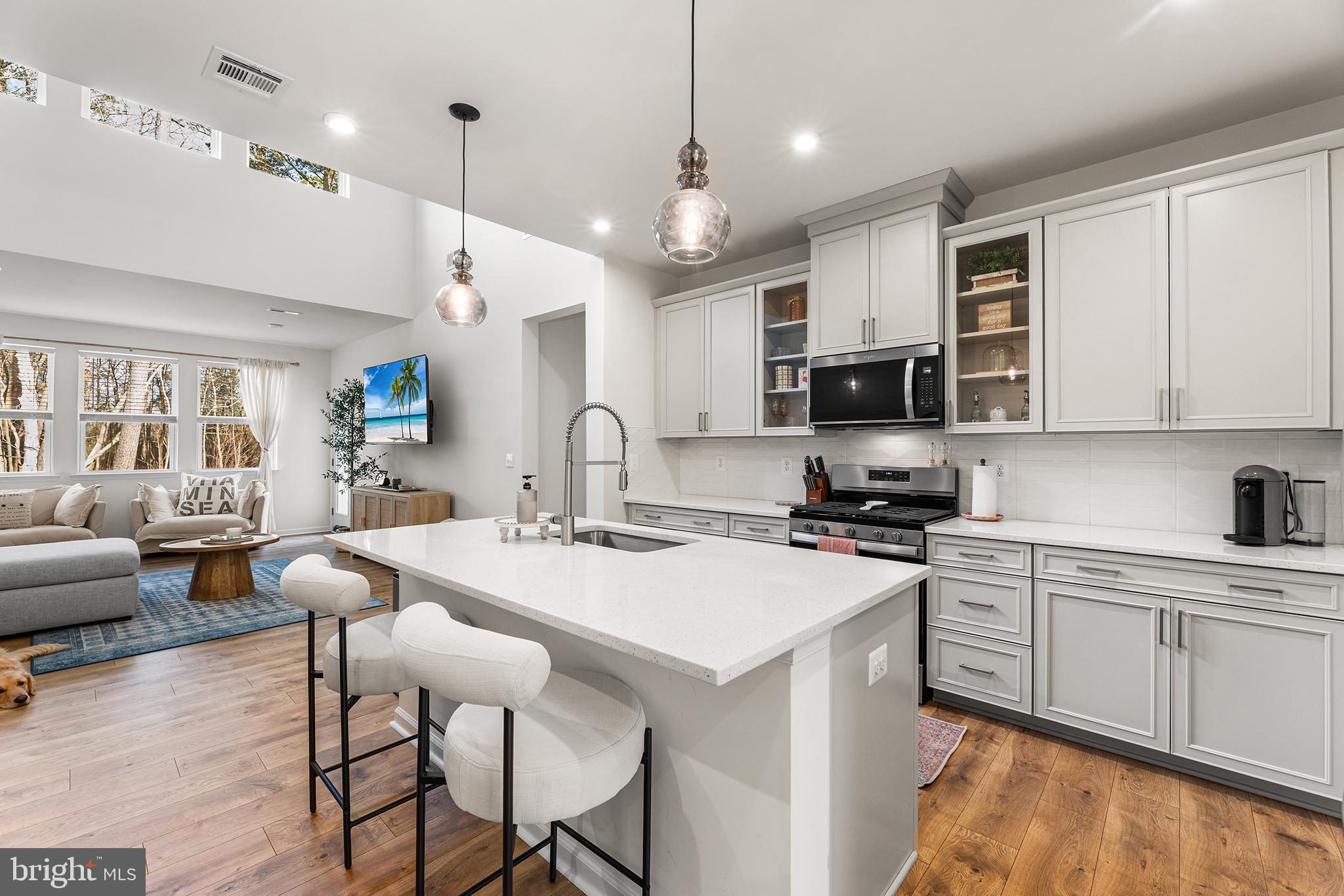 393 Scranton Lane Ocean View, DE 19970 - Photo 3 of 48