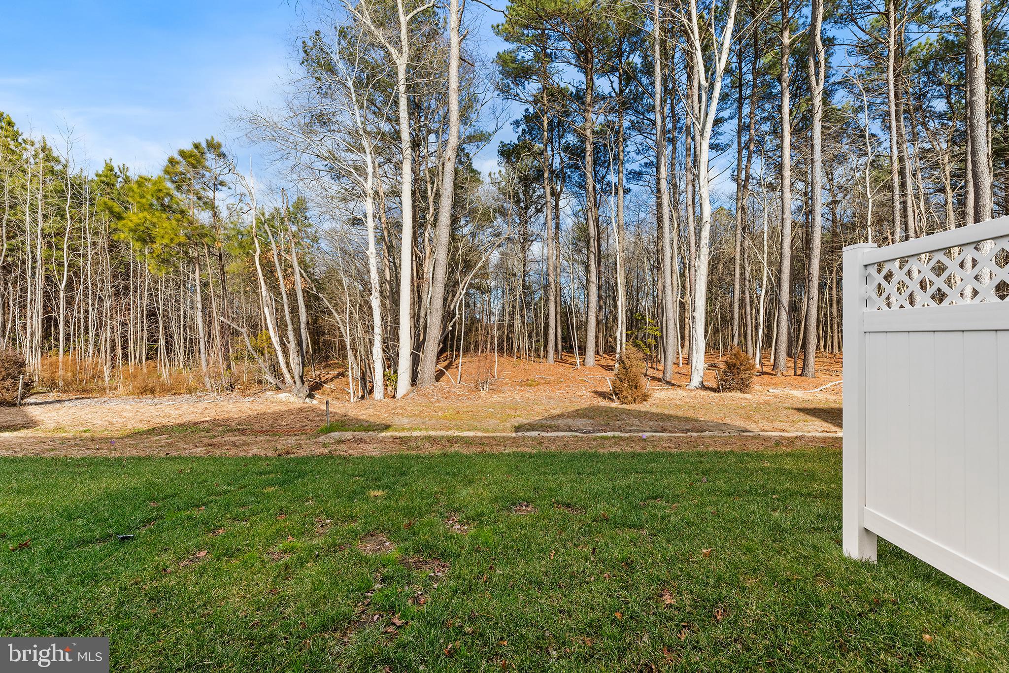 393 Scranton Lane Ocean View, DE 19970 - Photo 44 of 48