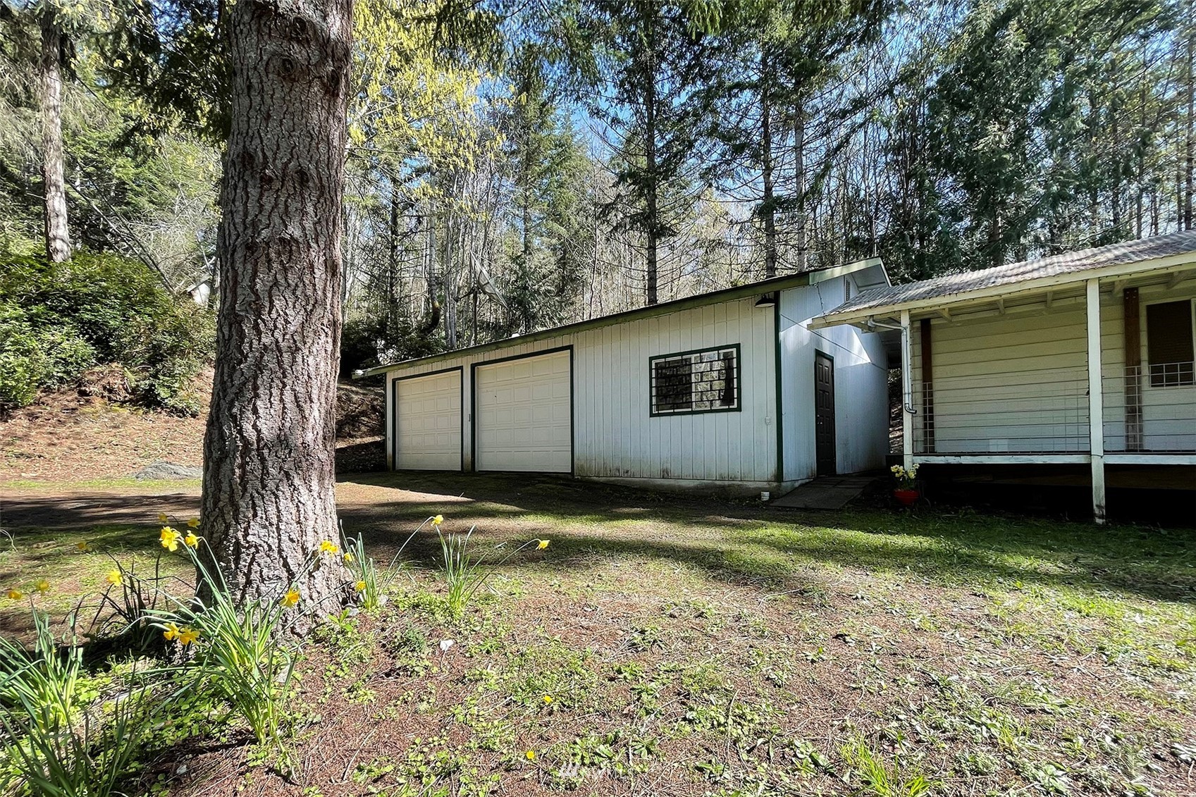 171 Fox Road Quilcene, WA 98376 - Photo 31 of 40 Gallery Image 31