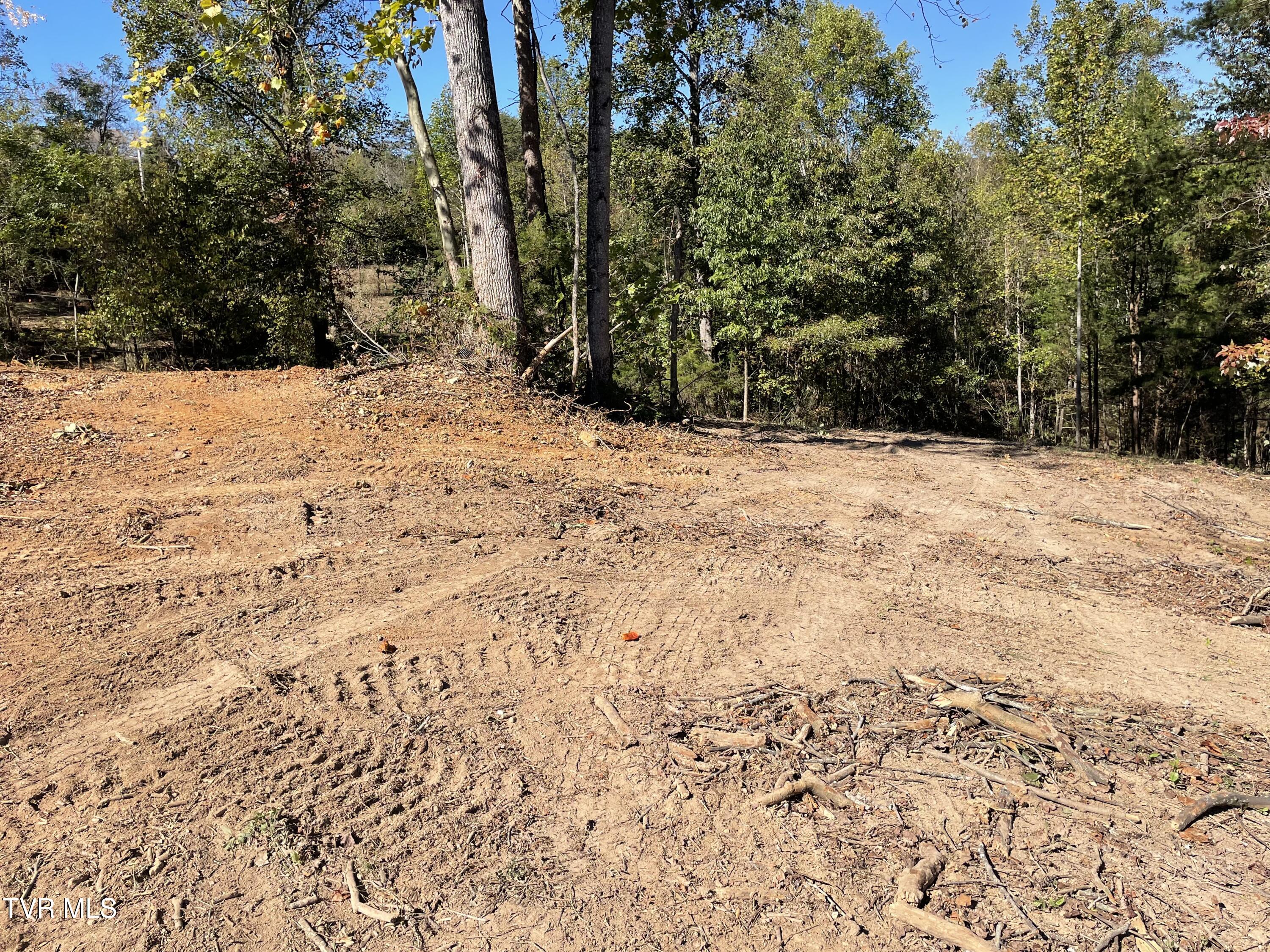 Lot 2 Turley Bridge Road, Unit 2 Morristown, TN 37814 - Photo 1 of 4 Lot 2
