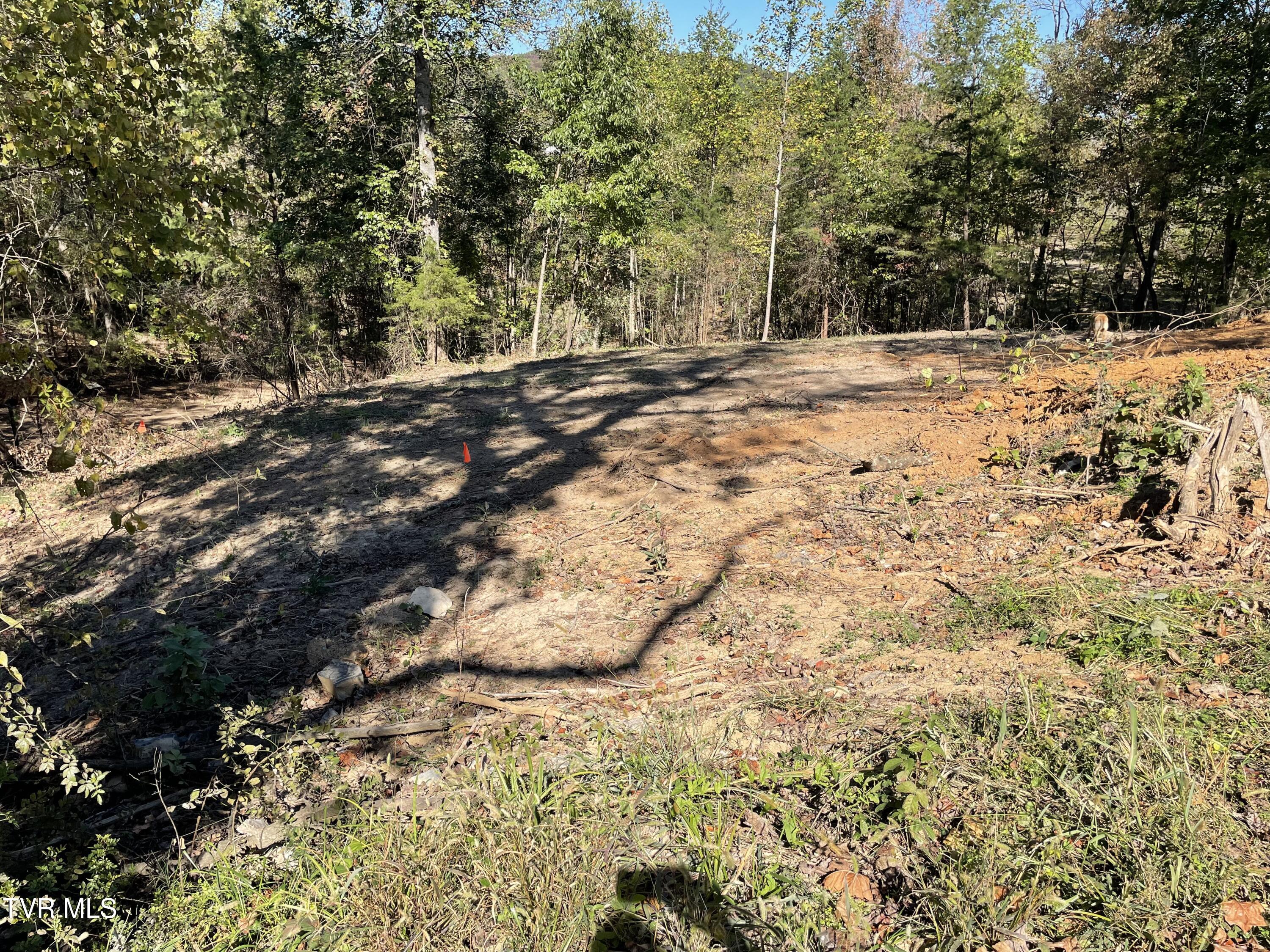 Lot 2 Turley Bridge Road, Unit 2 Morristown, TN 37814 - Photo 3 of 4 Lot 2-3