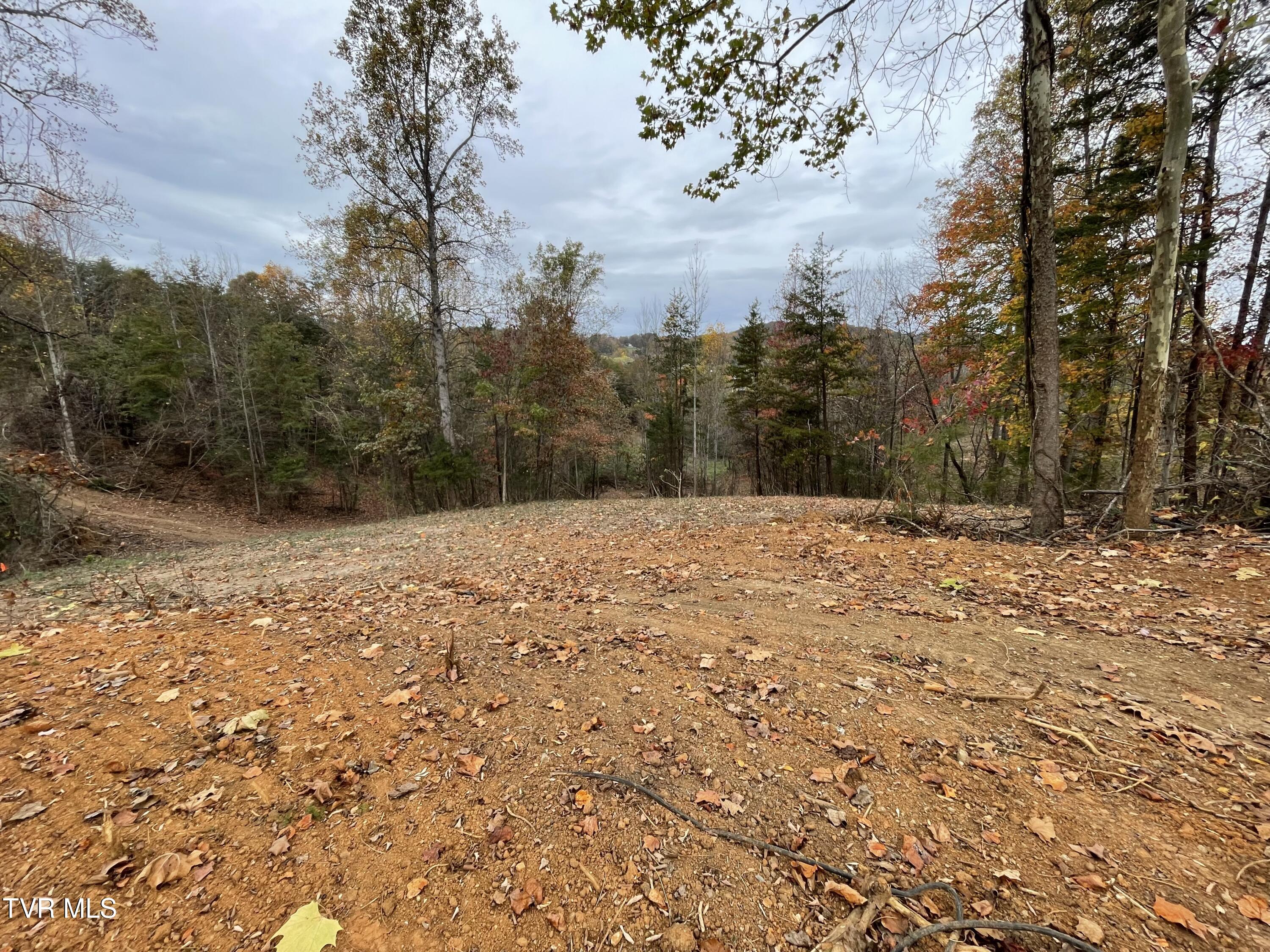 Lot 2 Turley Bridge Road, Unit 2 Morristown, TN 37814 - Photo 4 of 4 Lot2-7