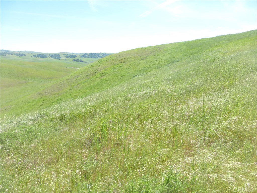 0 Douglas Road San Miguel, CA 93451 - Photo 55 of 75