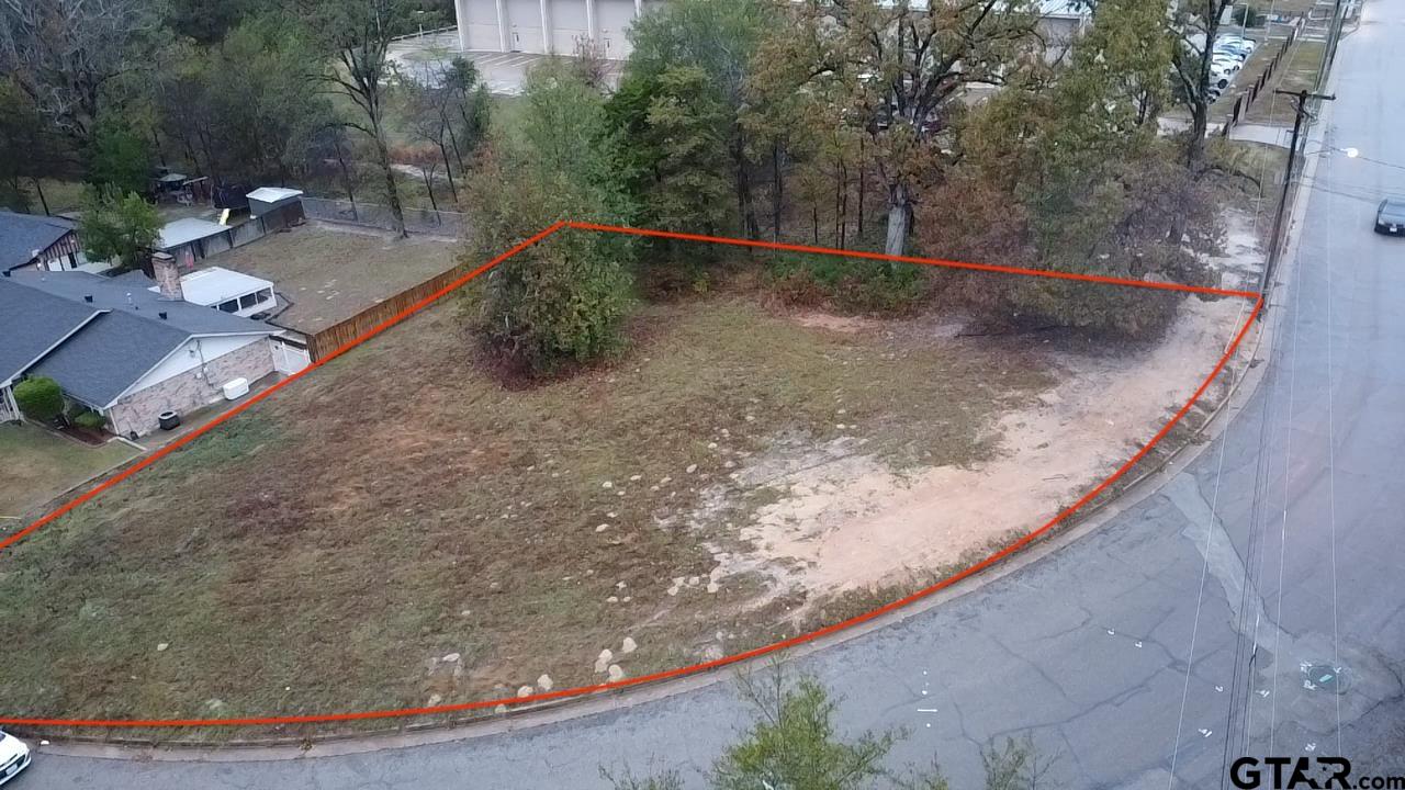 a view of a dry yard with lots of trees