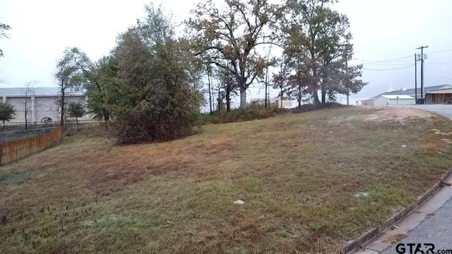 a view of a yard with a tree