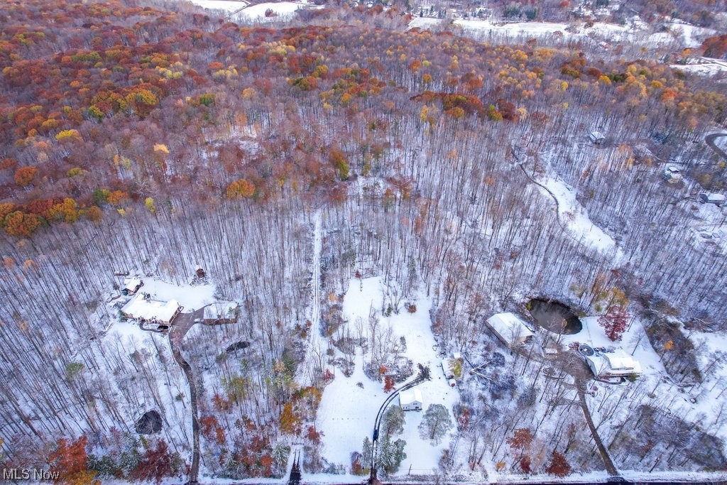 7456 Jackson Road Chagrin Falls, OH 44023 - Photo 8 of 30 View of snowy aerial view