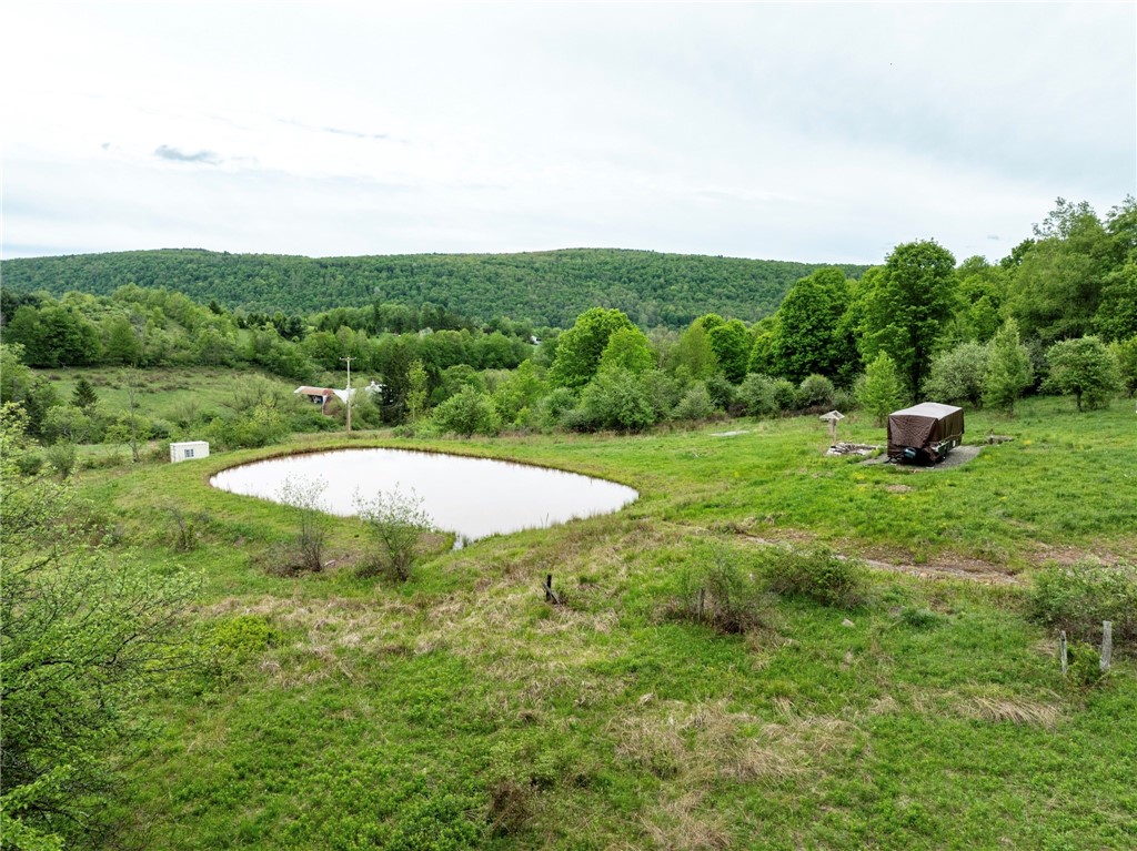 471 Frank Slawson Road Oneonta, NY 13820 - Photo 11 of 22