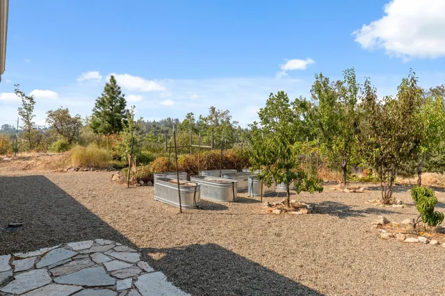 a view of road and trees