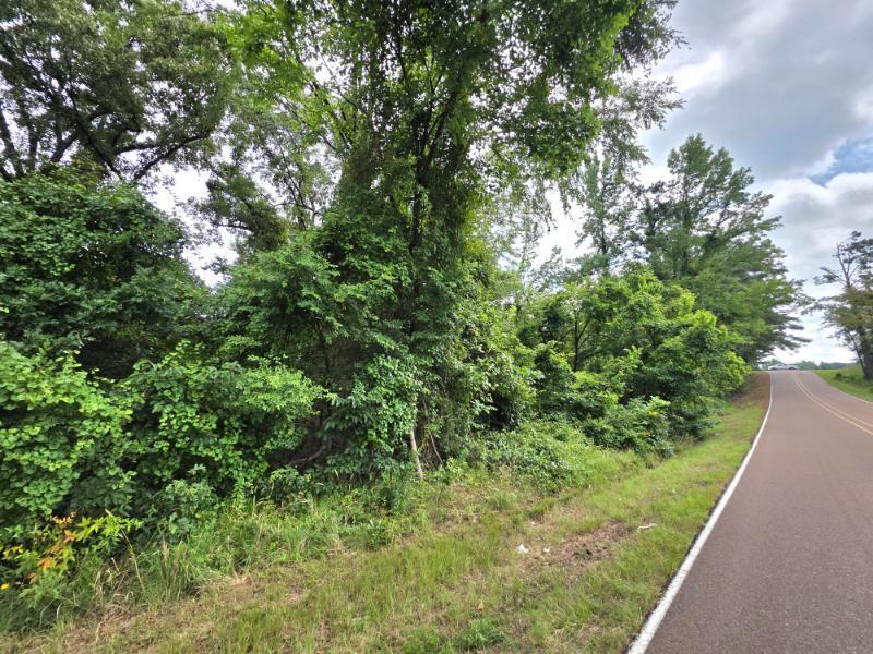 25.8 Ac Brewer & Harmon Road Batesville, MS 38606 - Photo 2 of 3 Gallery Image 2