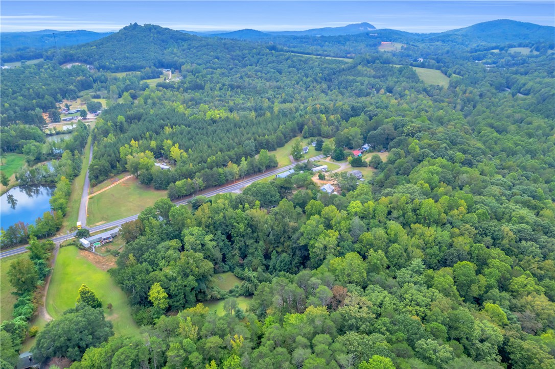 1389 Earls Bridge Road Easley, SC 29640 - Photo 26 of 30