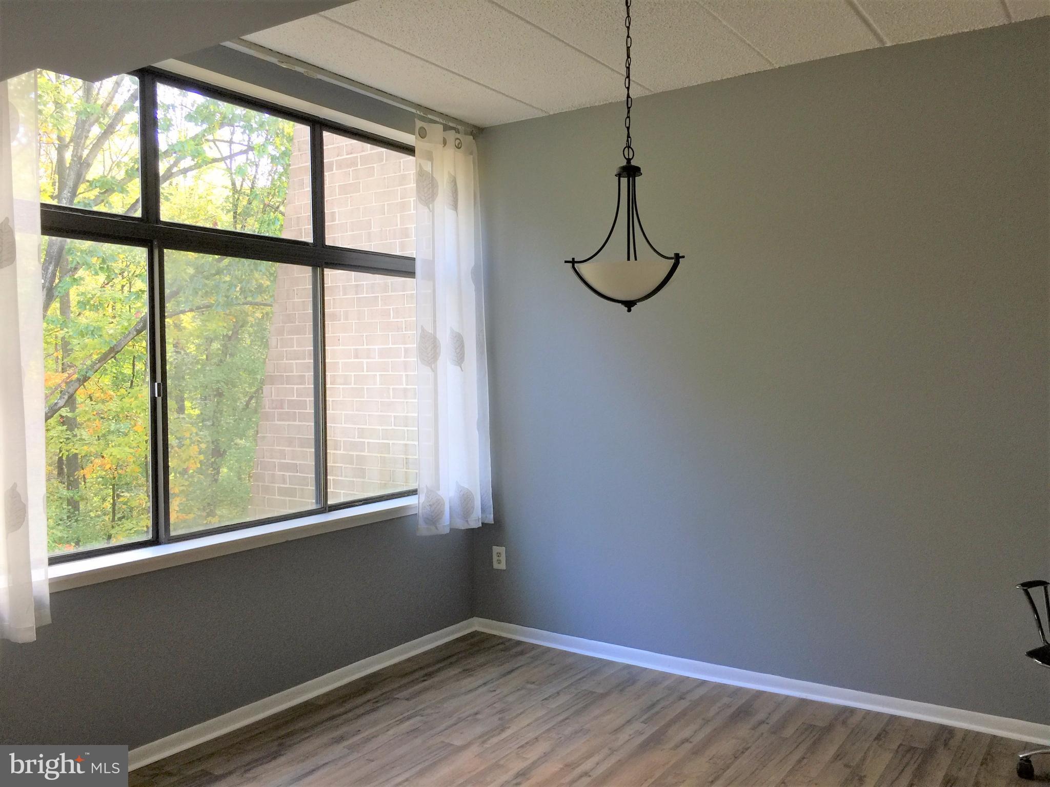 11562 Rolling Green Court, Unit 201 Reston, VA 20191 - Photo 6 of 18 Dining Room