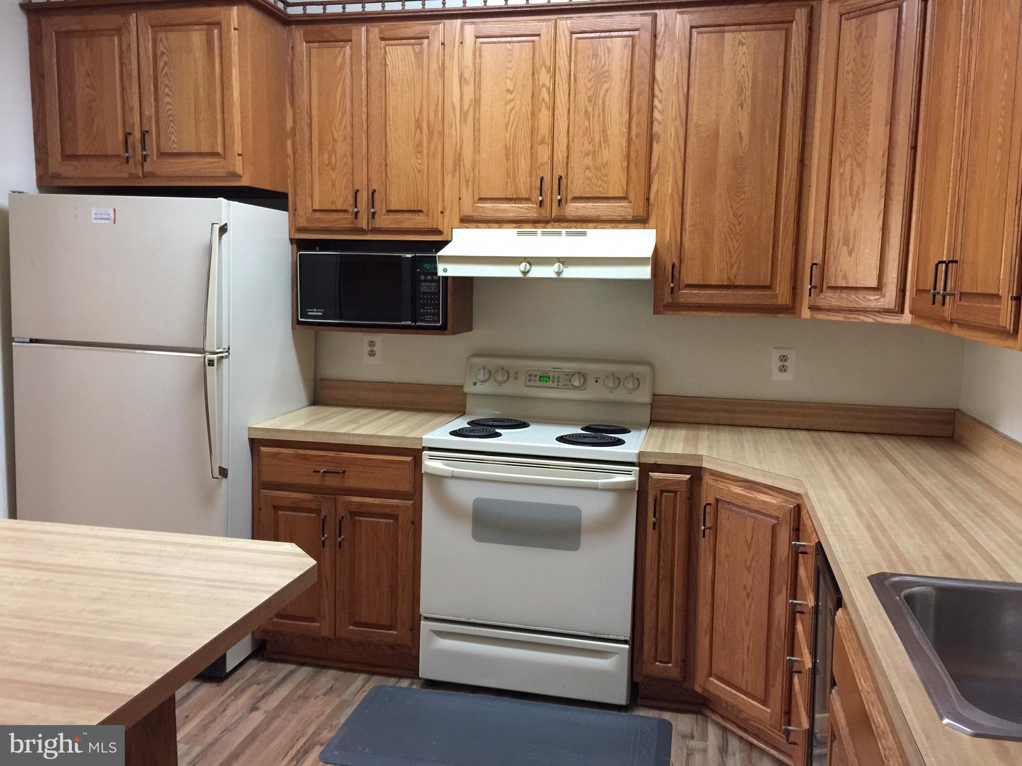 11562 Rolling Green Court, Unit 201 Reston, VA 20191 - Photo 10 of 18 Kitchen