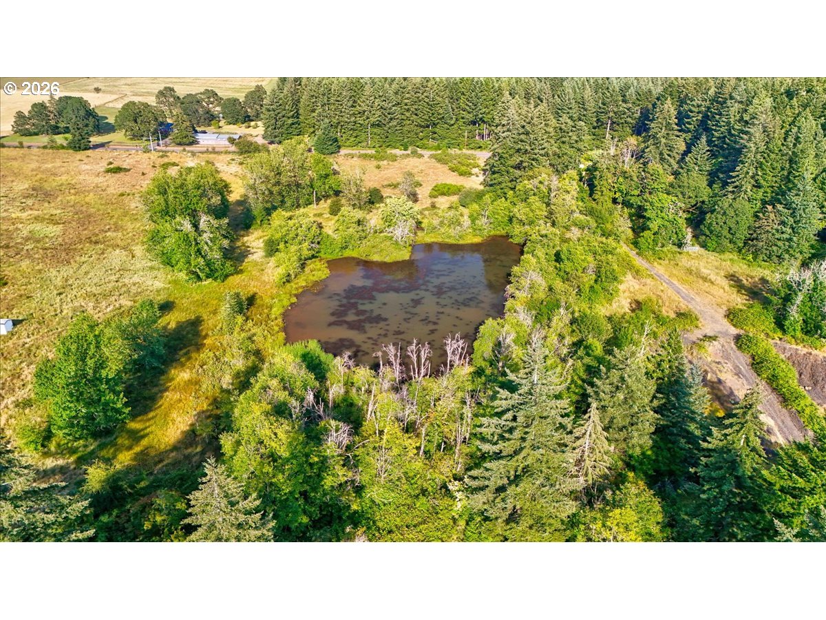 40450 South McCully Mountain Road Lyons, OR 97358 - Photo 32 of 34