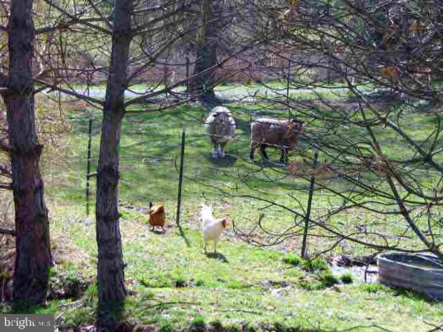 495 Hunters Valley Road Liverpool, PA 17045 - Photo 11 of 12 Gallery Image 11