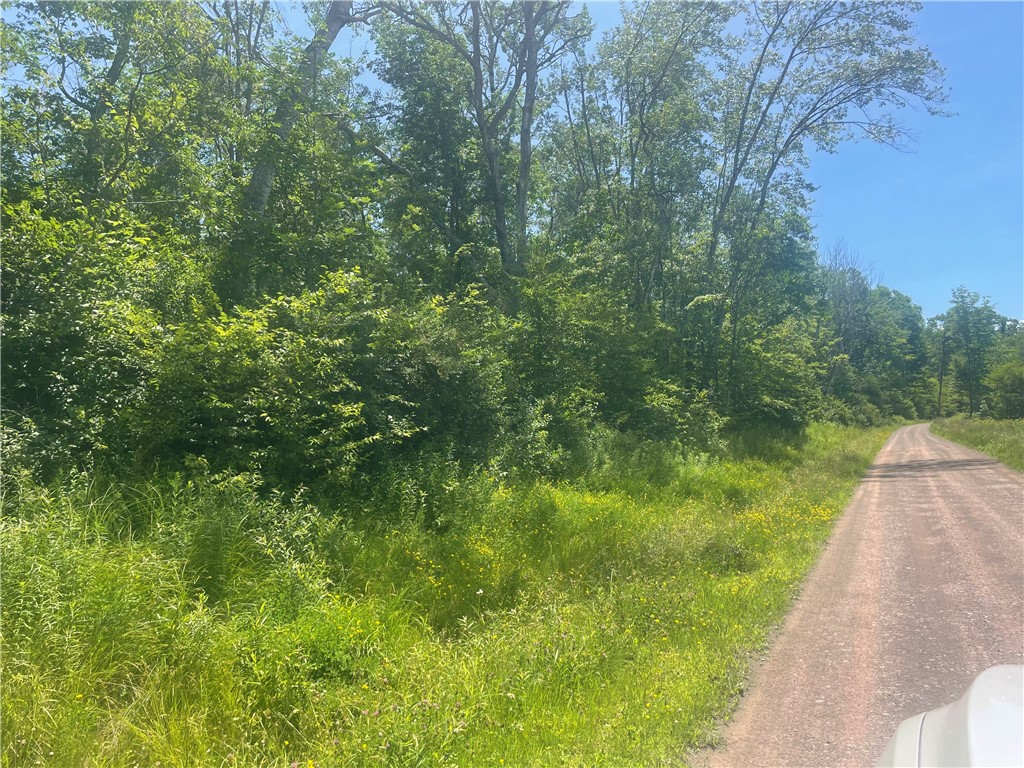 Schlafer Road Bainbridge, NY 13733 - Photo 3 of 6