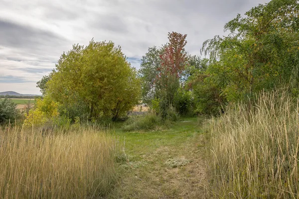 $1,695,000 | 75 Sterling Drive, Blaine County, ID 83313