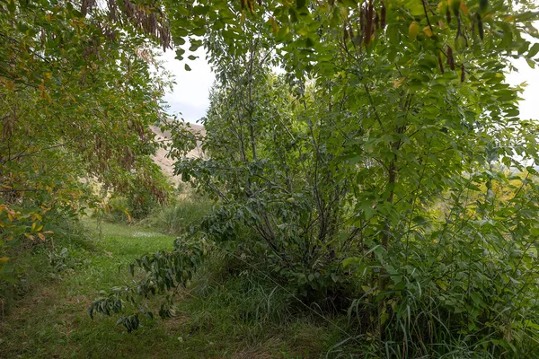$1,695,000 | 75 Sterling Drive, Blaine County, ID 83313