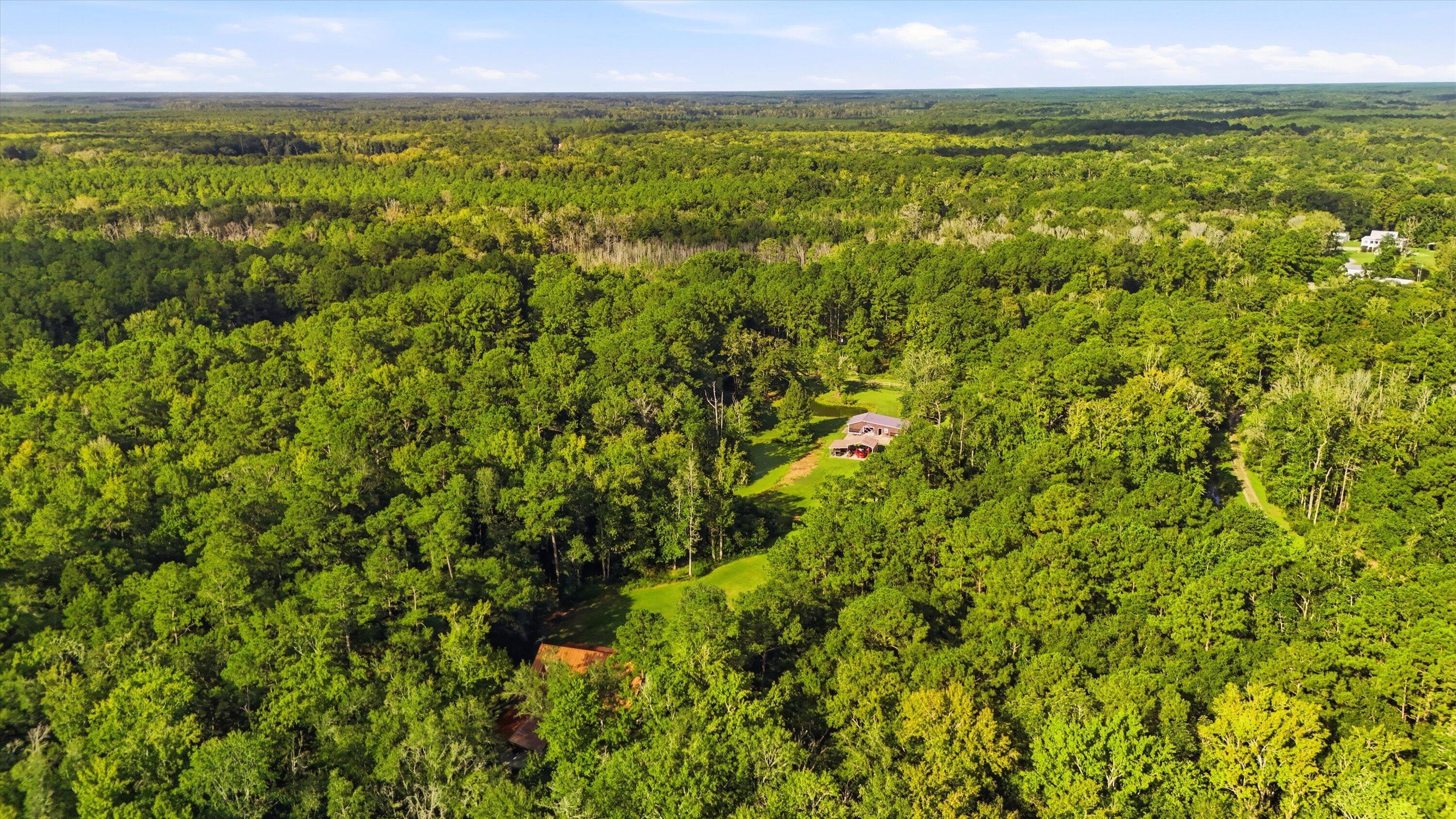189 Fishburn Road Ridgeville, SC 29472 - Photo 53 of 53 56-023_DJI_20260903094156_0011_D