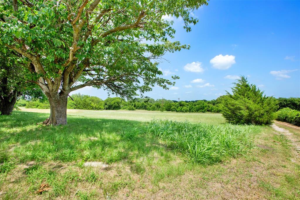 491 Morrison Road Howe, TX 75459 - Photo 11 of 19 a view of an trees in a yard