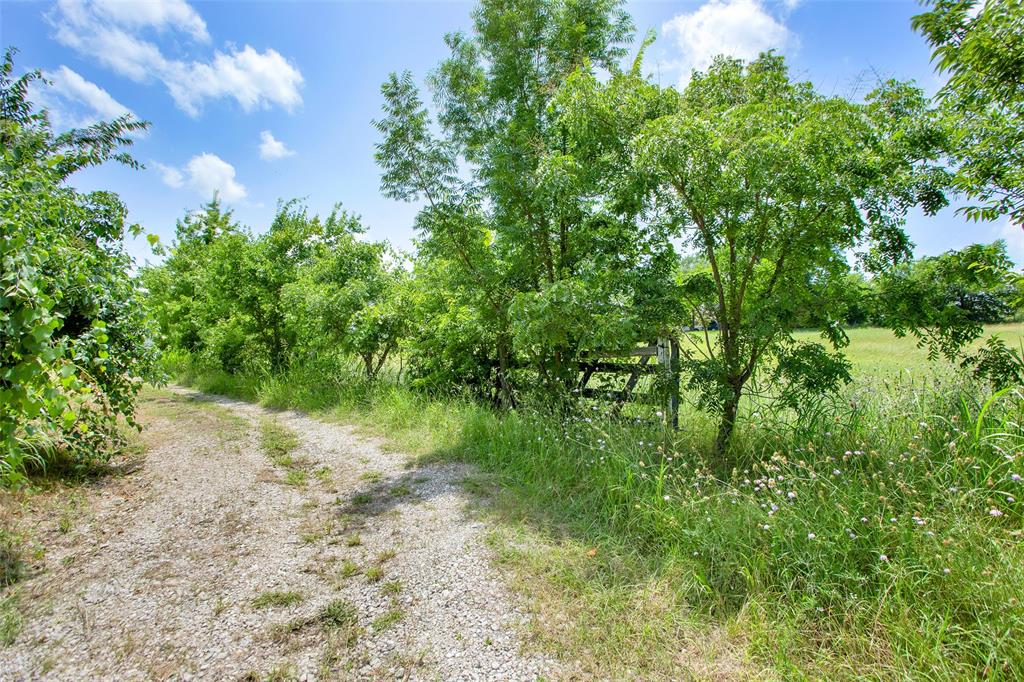491 Morrison Road Howe, TX 75459 - Photo 12 of 19 a backyard of a house with lots of green space and garden