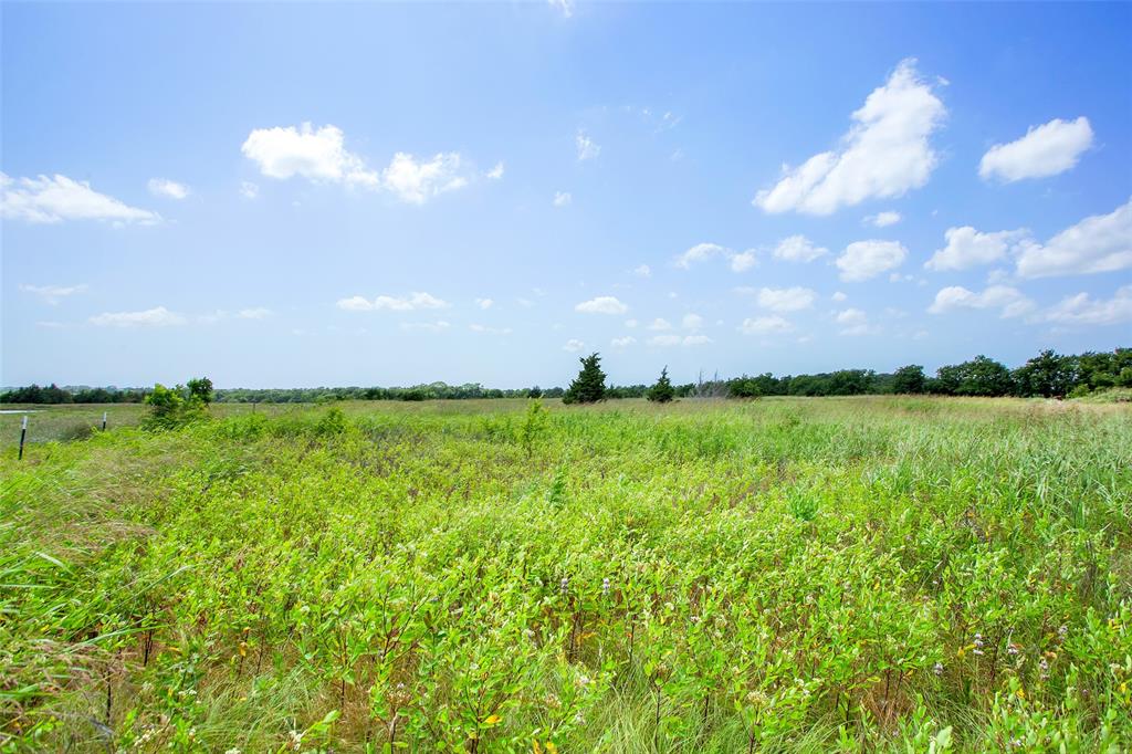 491 Morrison Road Howe, TX 75459 - Photo 2 of 19 a view of an ocean and a yard