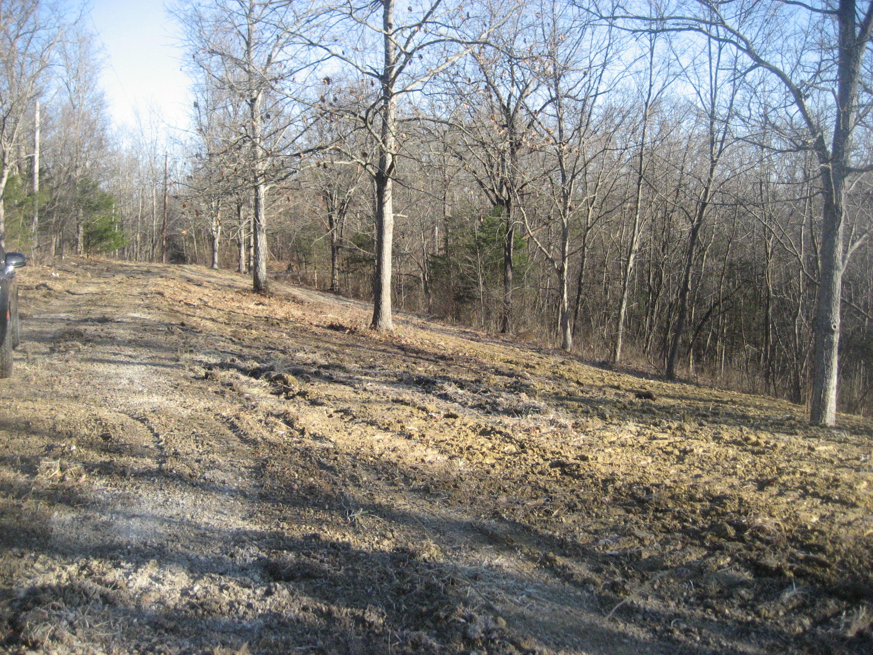 373 Union Ridge Road Frankfort, KY 40601 - Photo 5 of 19 IMG_1317