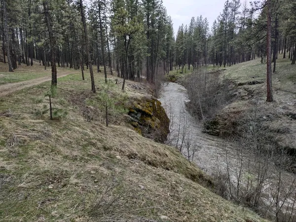 $529,000 | Xx Xx Chamokane Falls Rd Ford, Ford, WA 99013